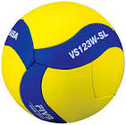 Picture of VS123W Training Volleyball