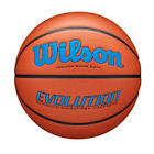 Picture of Evolution Indoor Basketball